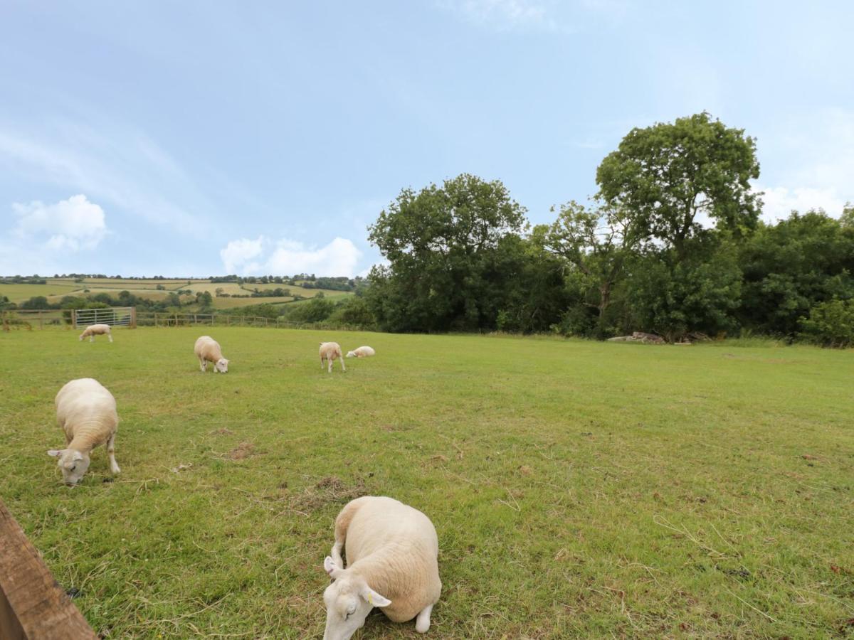 Holmer Farm Leominster Extérieur photo